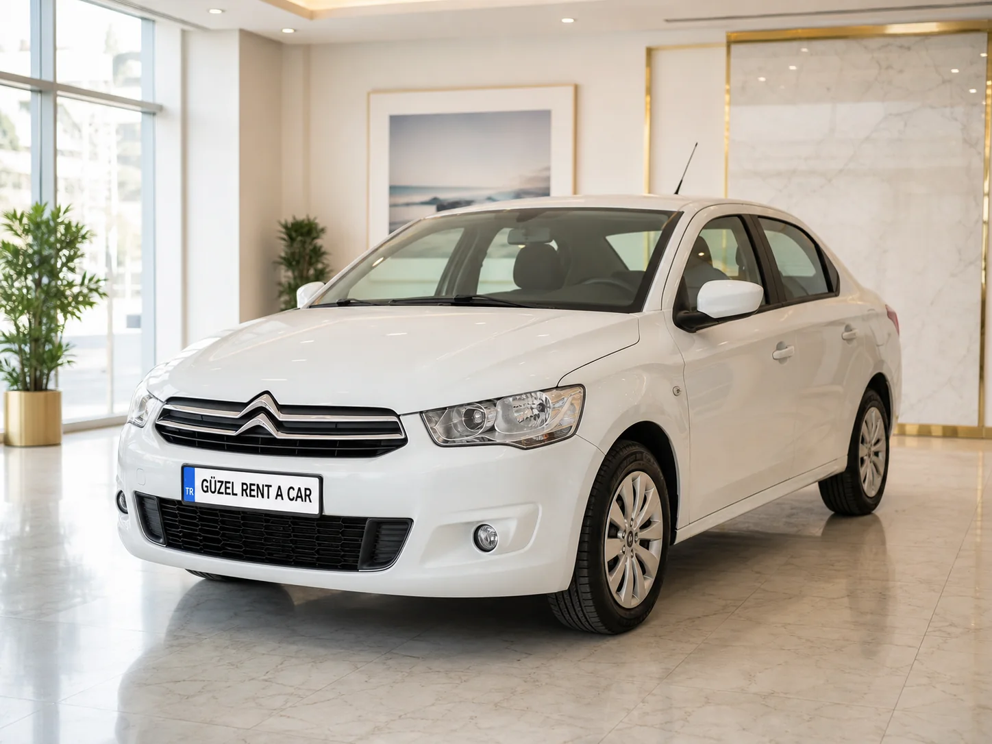 Citroën C-Elysée 1.6 Manuel